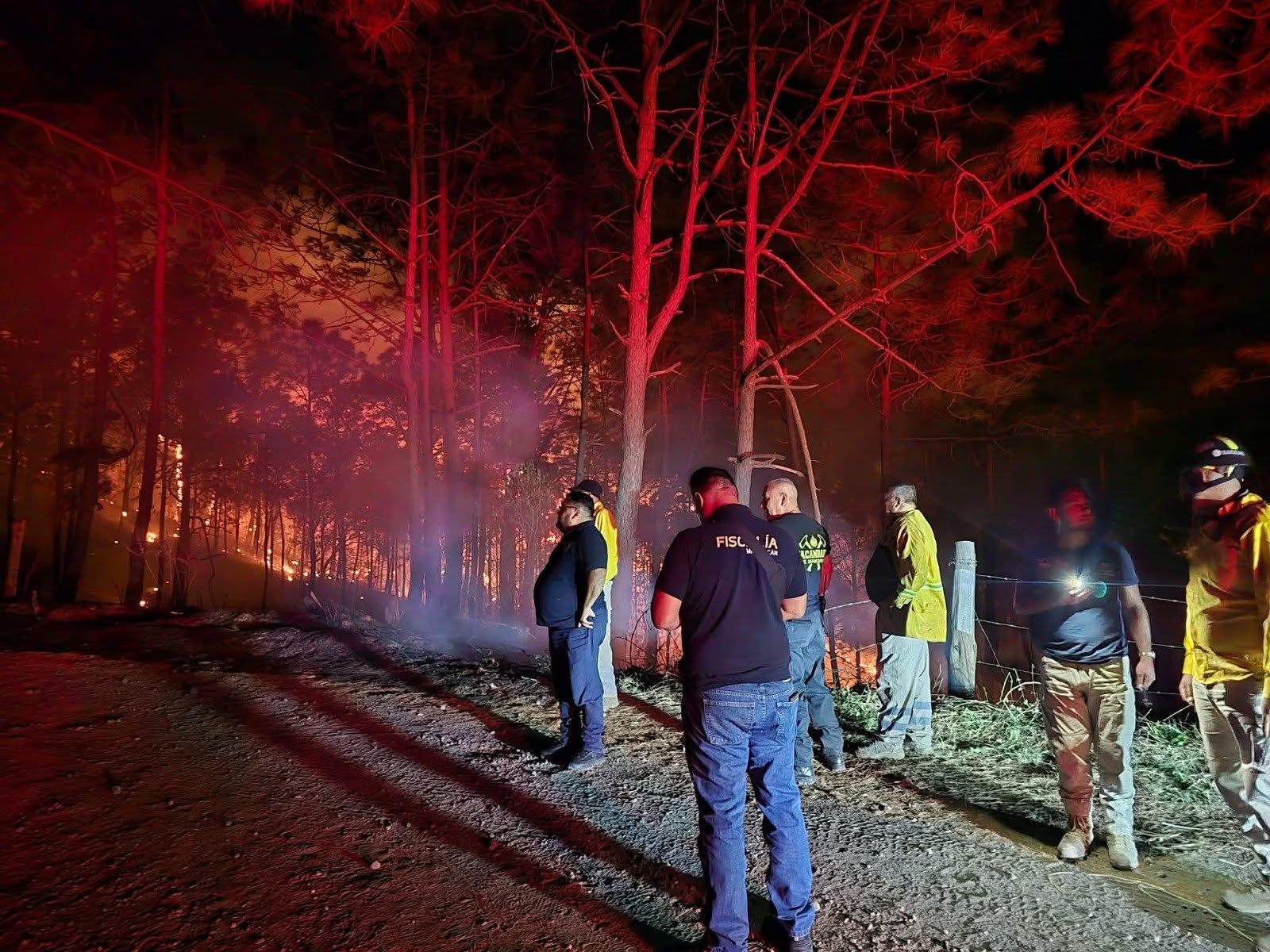 Muer3n dos brigadistas al combatir incendio forestal en Tacámbaro