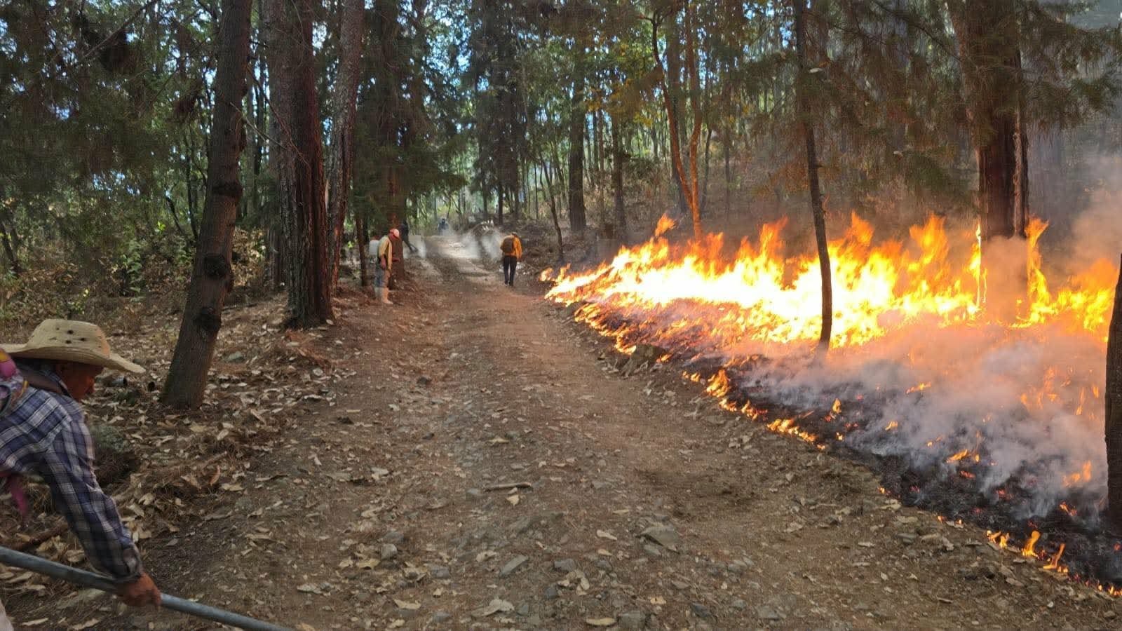 Incendio forestal consume amplia zona boscosa en Tzitzio 