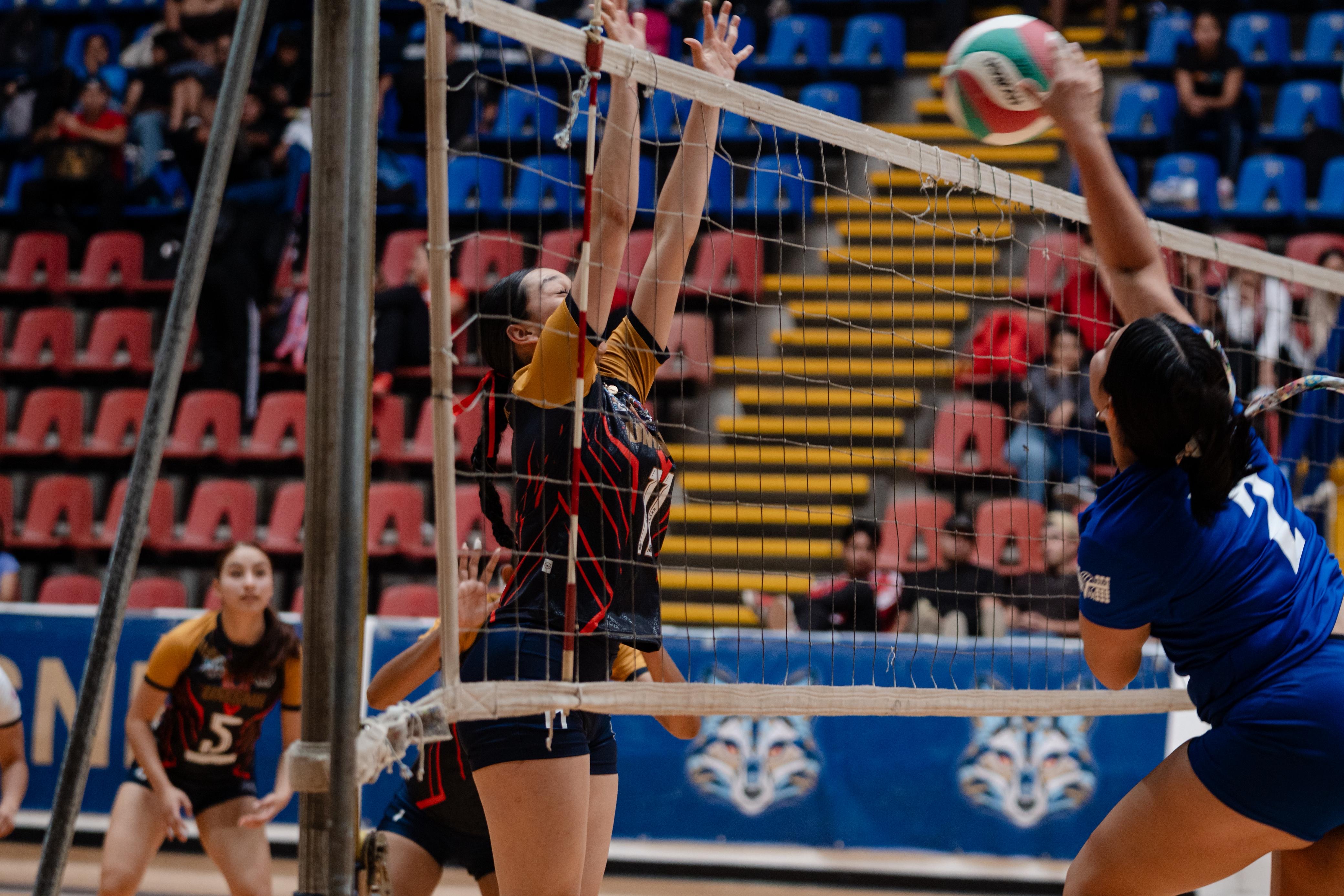 VOLEIBOL FEMENIL DE SALA DE LA UMSNH APUESTA A LLEGAR A LA UNIVERSIADA NACIONAL