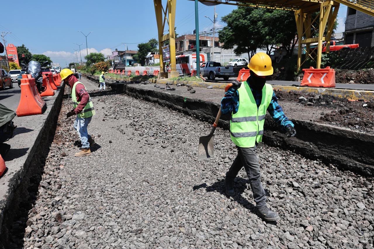Morebús impulsa reforestación urbana este domingo 23 de agosto